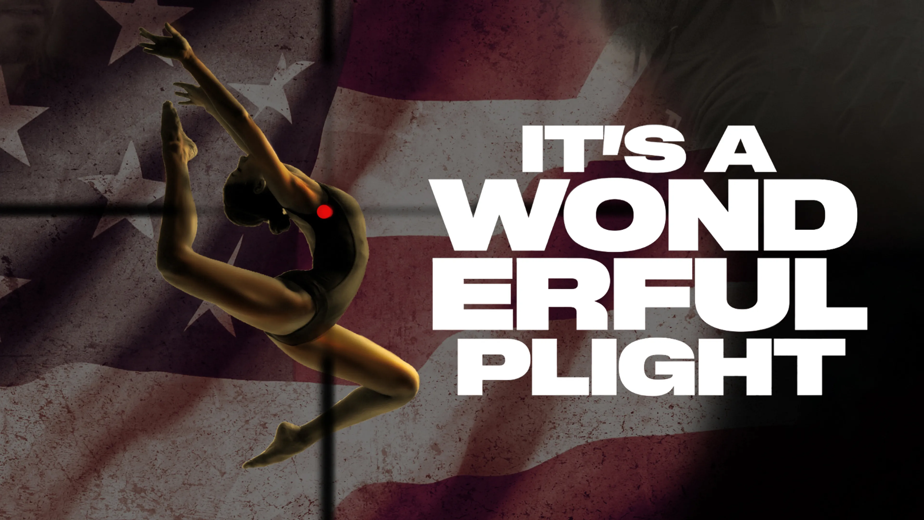 It's a Wonderful Plight poster